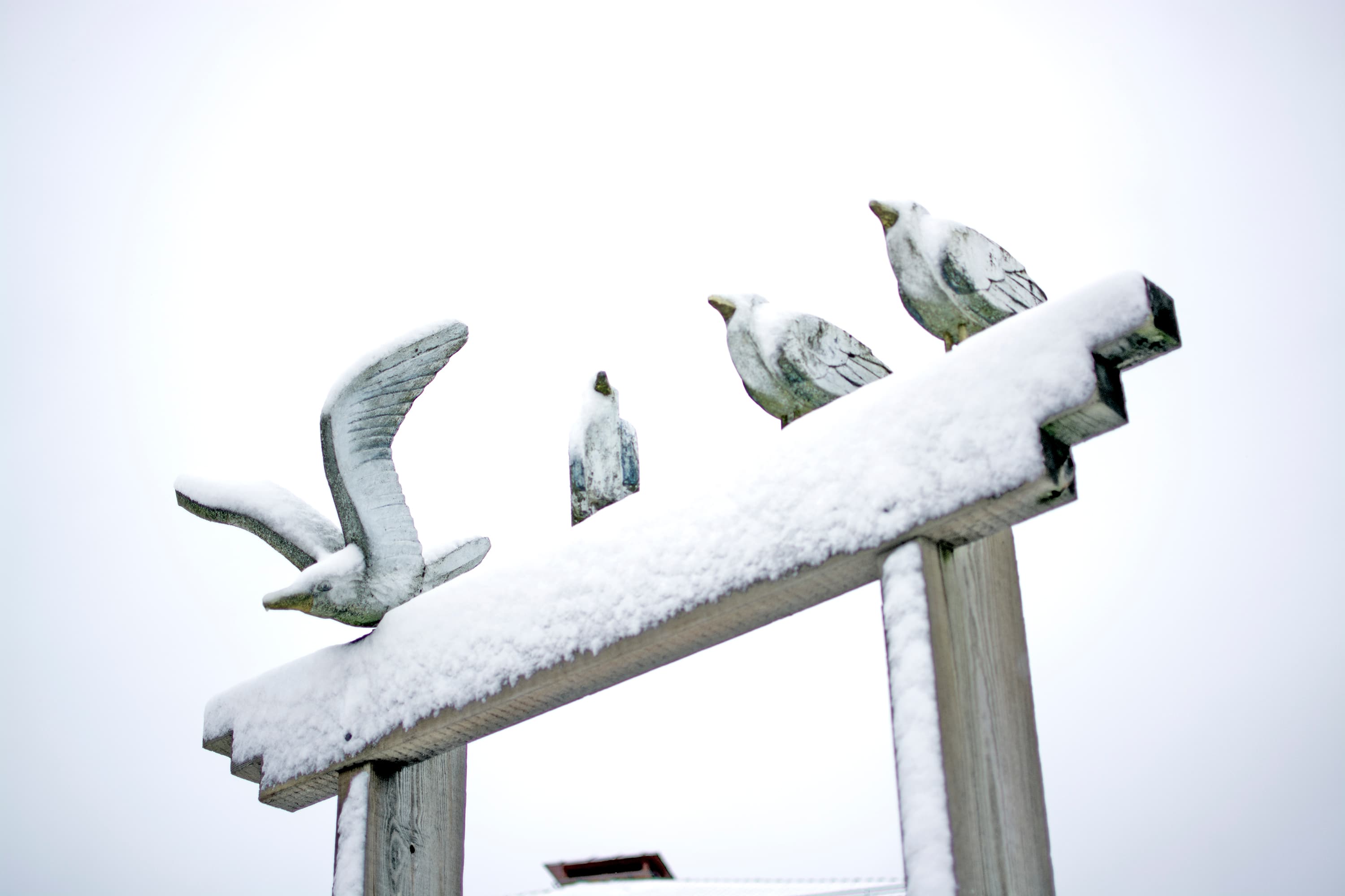 Snötäckta träfåglar – del av föreningens prisbelönta konstnärliga utsmyckning