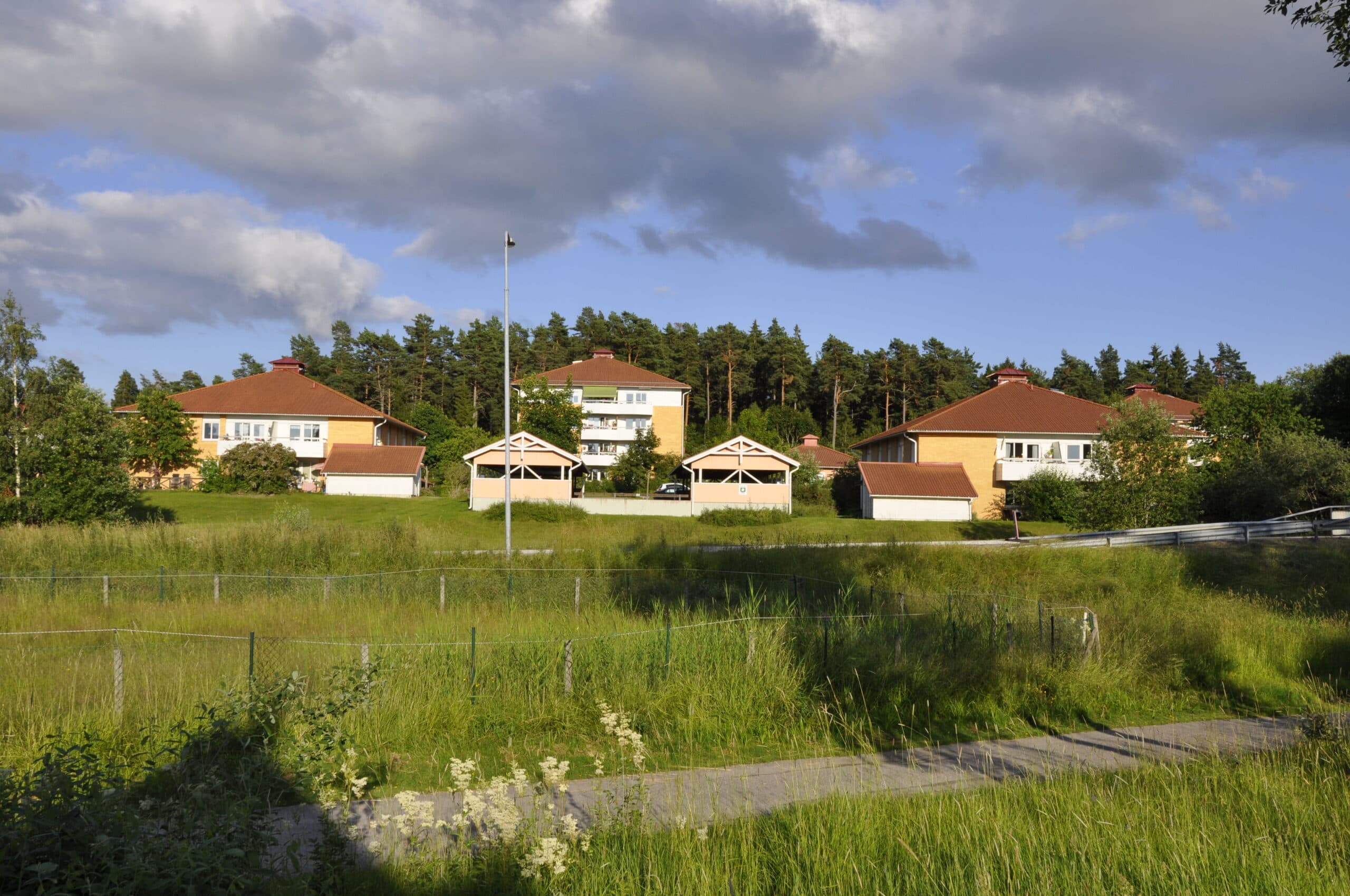 Brf Hammarbacken en sommarkväll – gula hus med röda tak, blommande ängsmark och skog